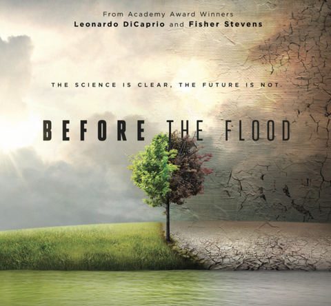 Before the Flood Screening Kit